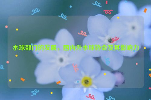 水球部门的发展，国内外水球协会及其影响力